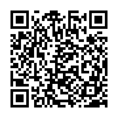 QR code for 295Z62