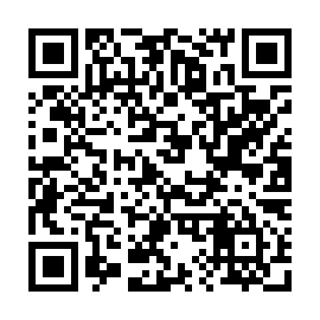 QR code for 296L95