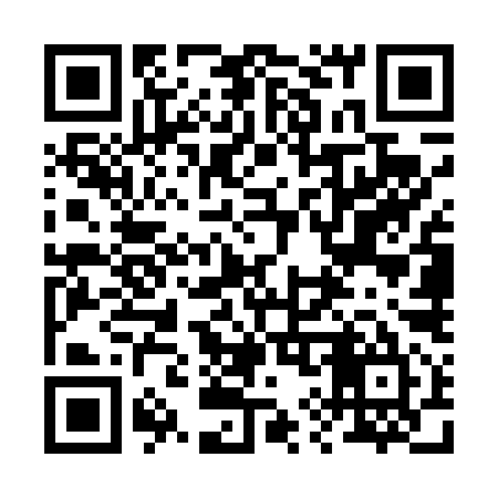 QR code for 297T95