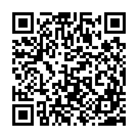 QR code for 299G46