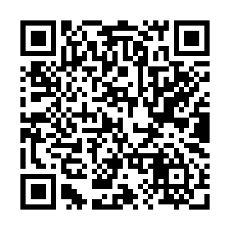 QR code for 299S95