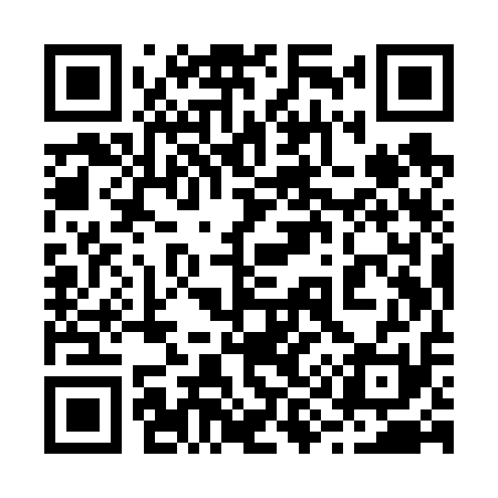 QR code for 299V11