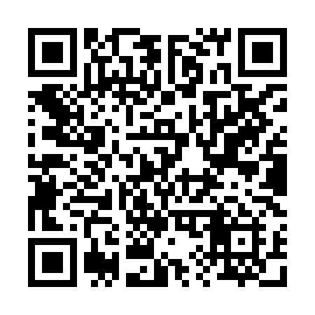 QR code for 299XLI