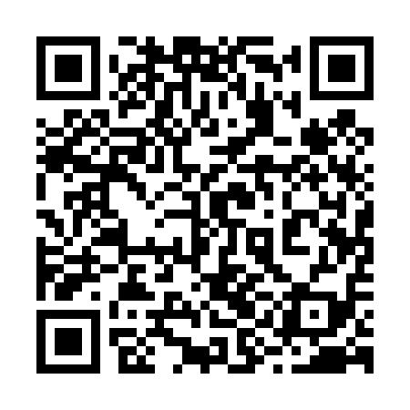 QR code for 29A419