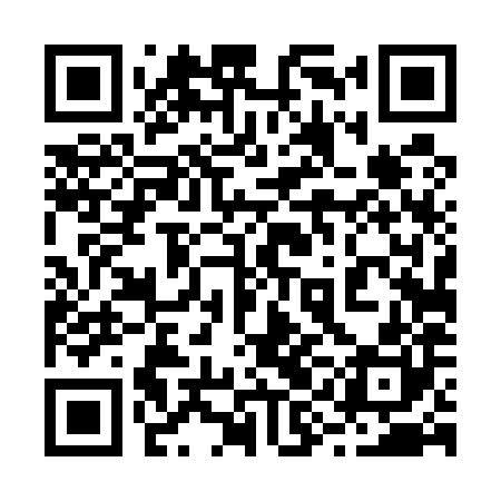 QR code for 29D580