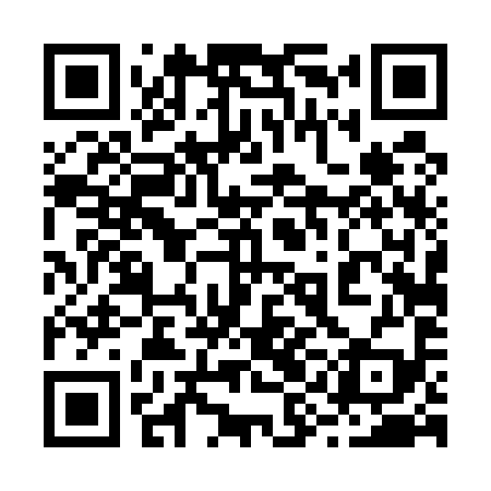 QR code for 29D599