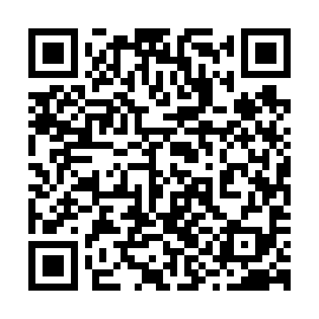 QR code for 29E699