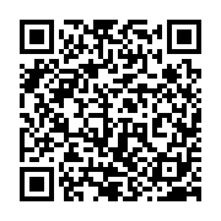 QR code for 29F351