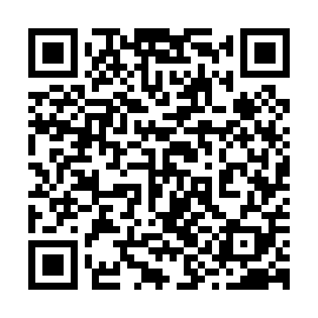 QR code for 29G009