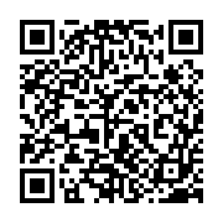 QR code for 29G153