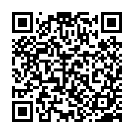 QR code for 29G241
