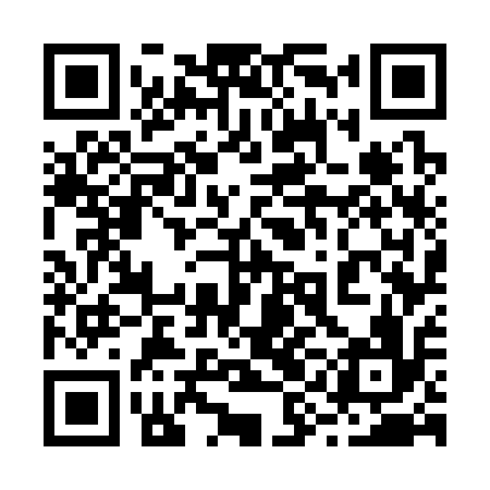QR code for 29G316