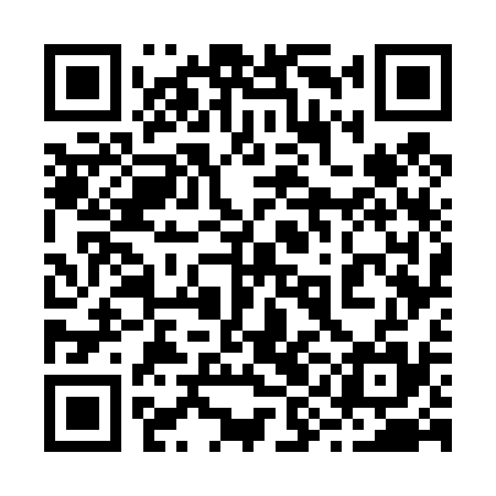 QR code for 29G435