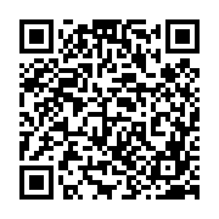 QR code for 29G466