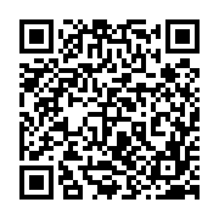 QR code for 29G556