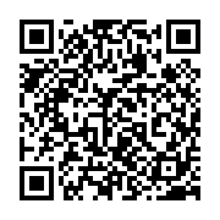 QR code for 29I010
