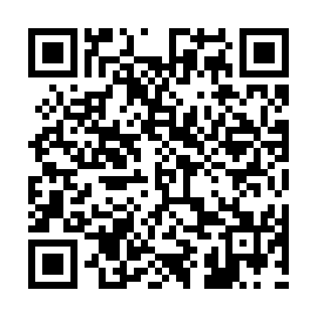 QR code for 29I251