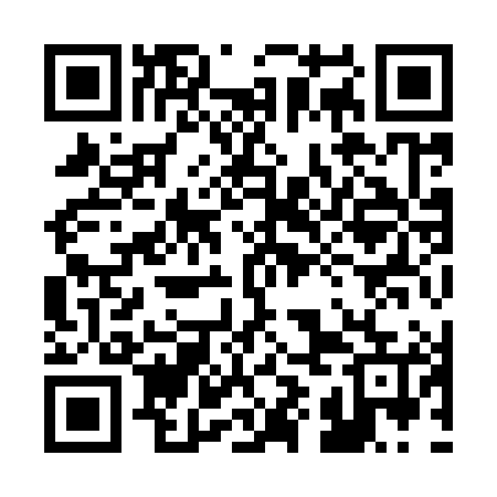 QR code for 29I985