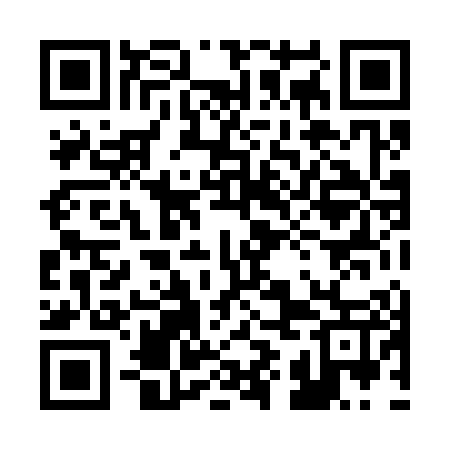 QR code for 29L307