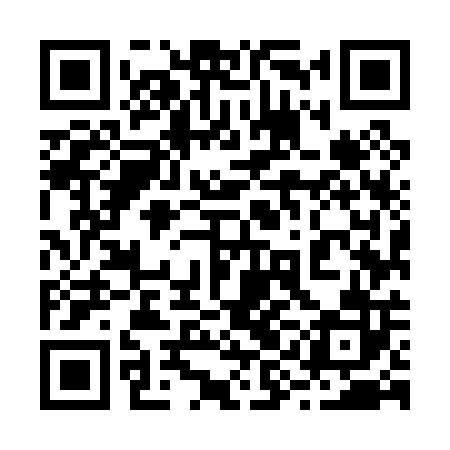 QR code for 29M002