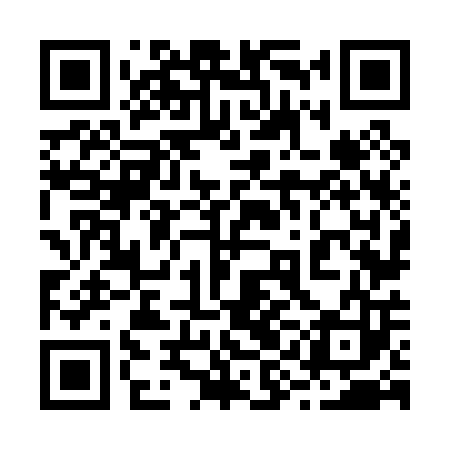 QR code for 29N003