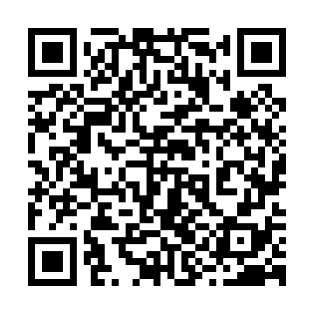QR code for 29N078