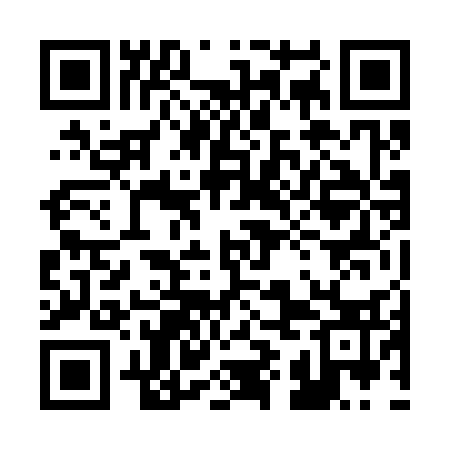 QR code for 29N333