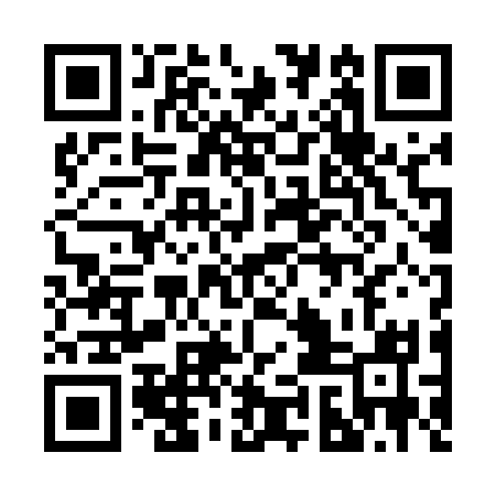 QR code for 29N531