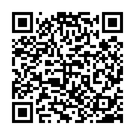 QR code for 29N539