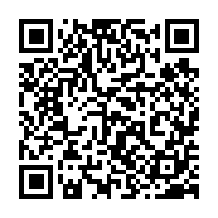 QR code for 29N650