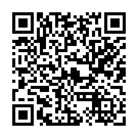 QR code for 29N951