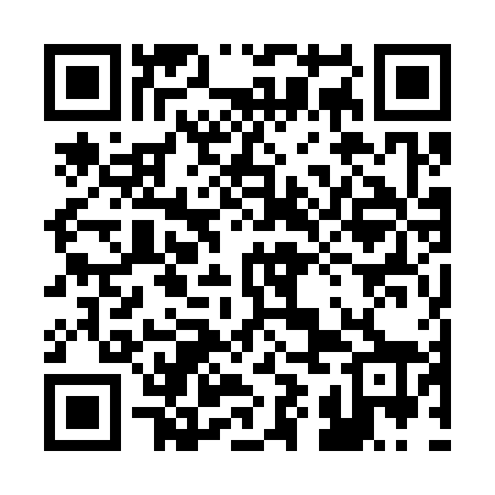 QR code for 29O368