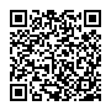 QR code for 29O460