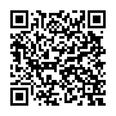 QR code for 29Q063
