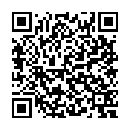 QR code for 29Q173