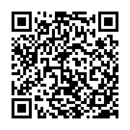 QR code for 29Q300