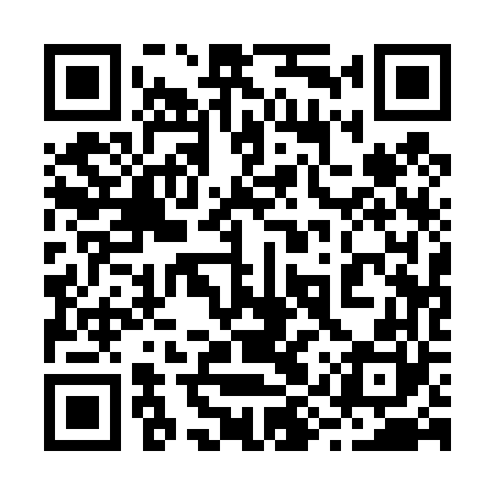 QR code for 29Q460