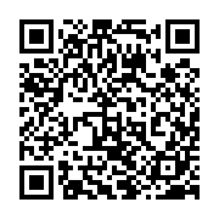 QR code for 29Q500