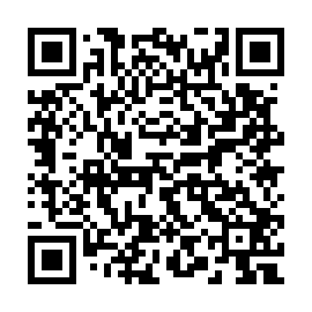 QR code for 29Q502