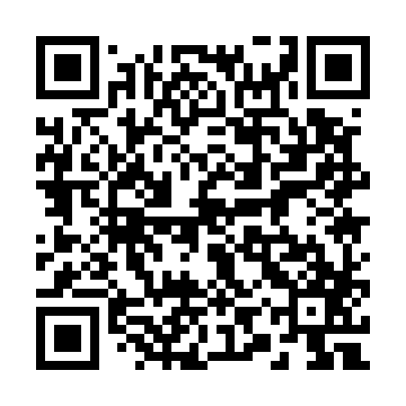 QR code for 29Q587