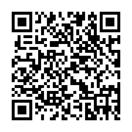 QR code for 29Q995
