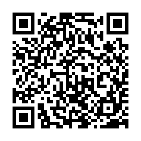 QR code for 29S394