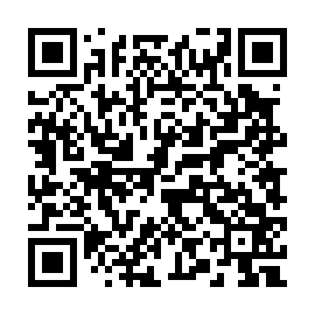 QR code for 29T063