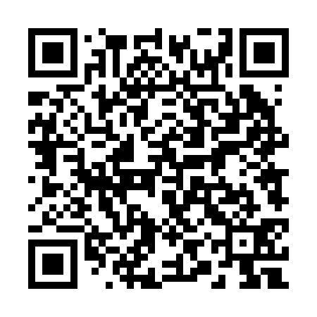 QR code for 29T231