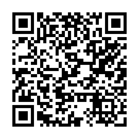 QR code for 29T233