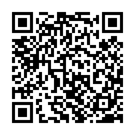 QR code for 29T450