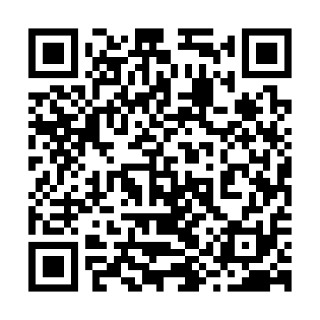 QR code for 29U311