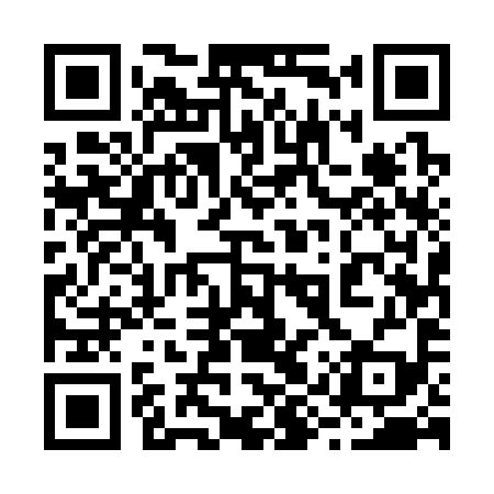 QR code for 29U399
