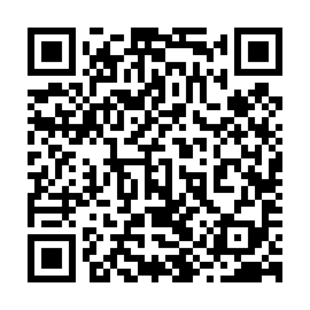 QR code for 29V499