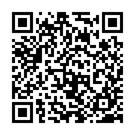 QR code for 29W384